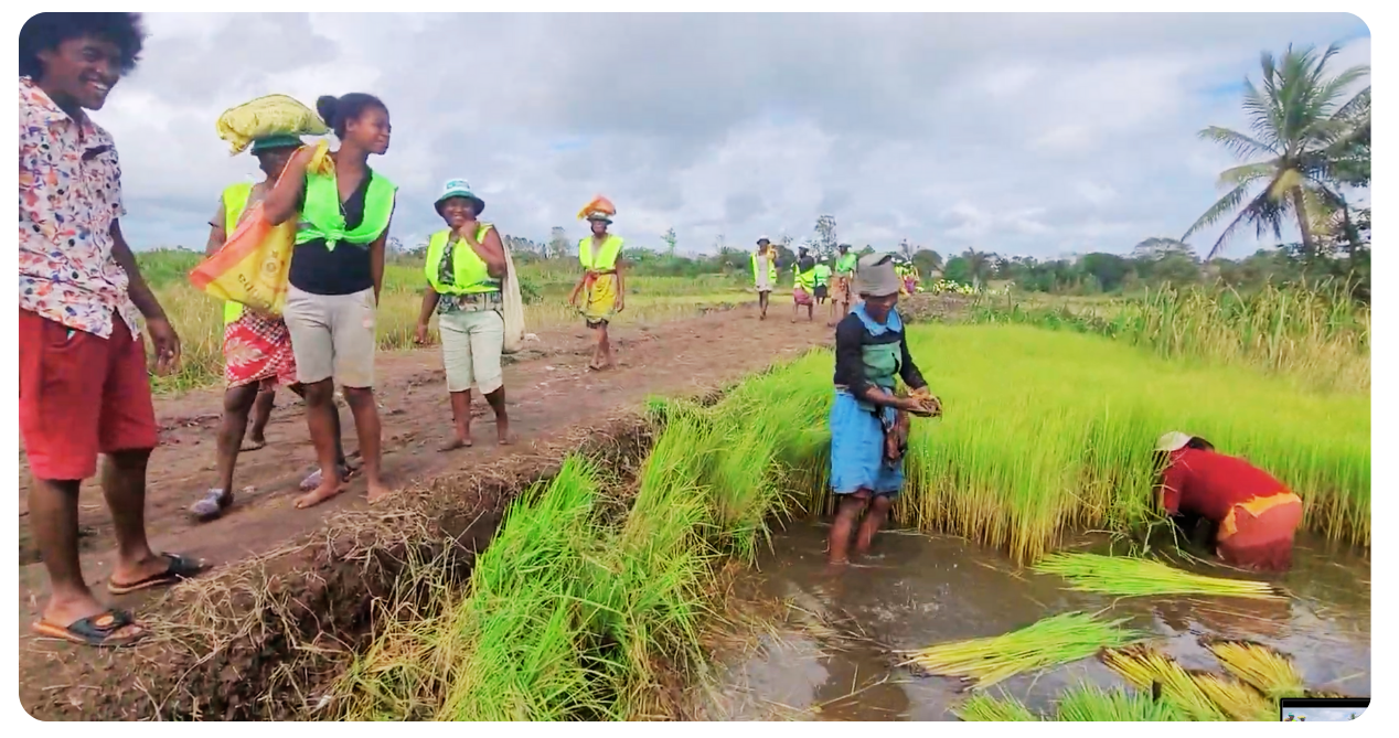 Echoes website (4) copy